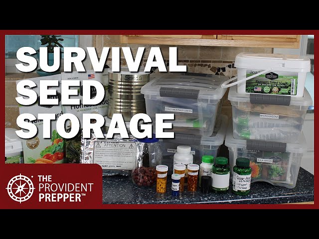 Best Seed Storage Tips to Improve Seed Germination and Storage Life